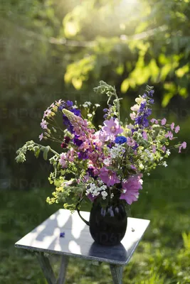 Mesmerizing Lady's Mantle Image with Bokeh Effect