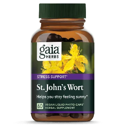 A Stunning Image of St. Johns Wort in a Garden