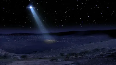 A Mesmerizing Image of a Star of Bethlehem Blossom
