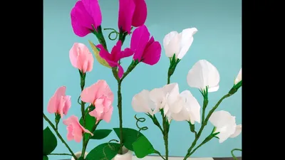 Sweet Pea Bouquet: A Stunning Floral Image