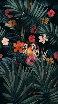 Captivating Tiger Flower: A Closer Look