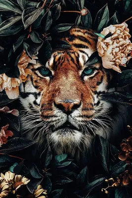 Tiger Flower: The Epitome of Elegance